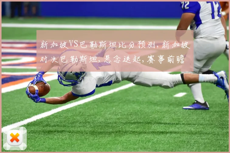 新加坡VS巴勒斯坦比分预测,新加坡对决巴勒斯坦,悬念迭起,赛事前瞻