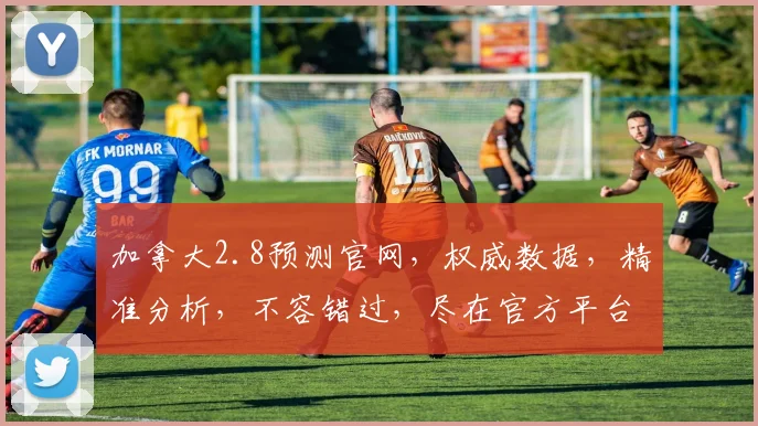 加拿大2.8预测官网，权威数据，精准分析，不容错过，尽在官方平台，速来关注