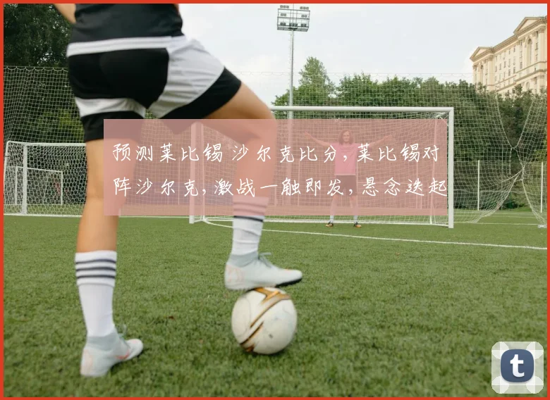 预测莱比锡 沙尔克比分,莱比锡对阵沙尔克,激战一触即发,悬念迭起